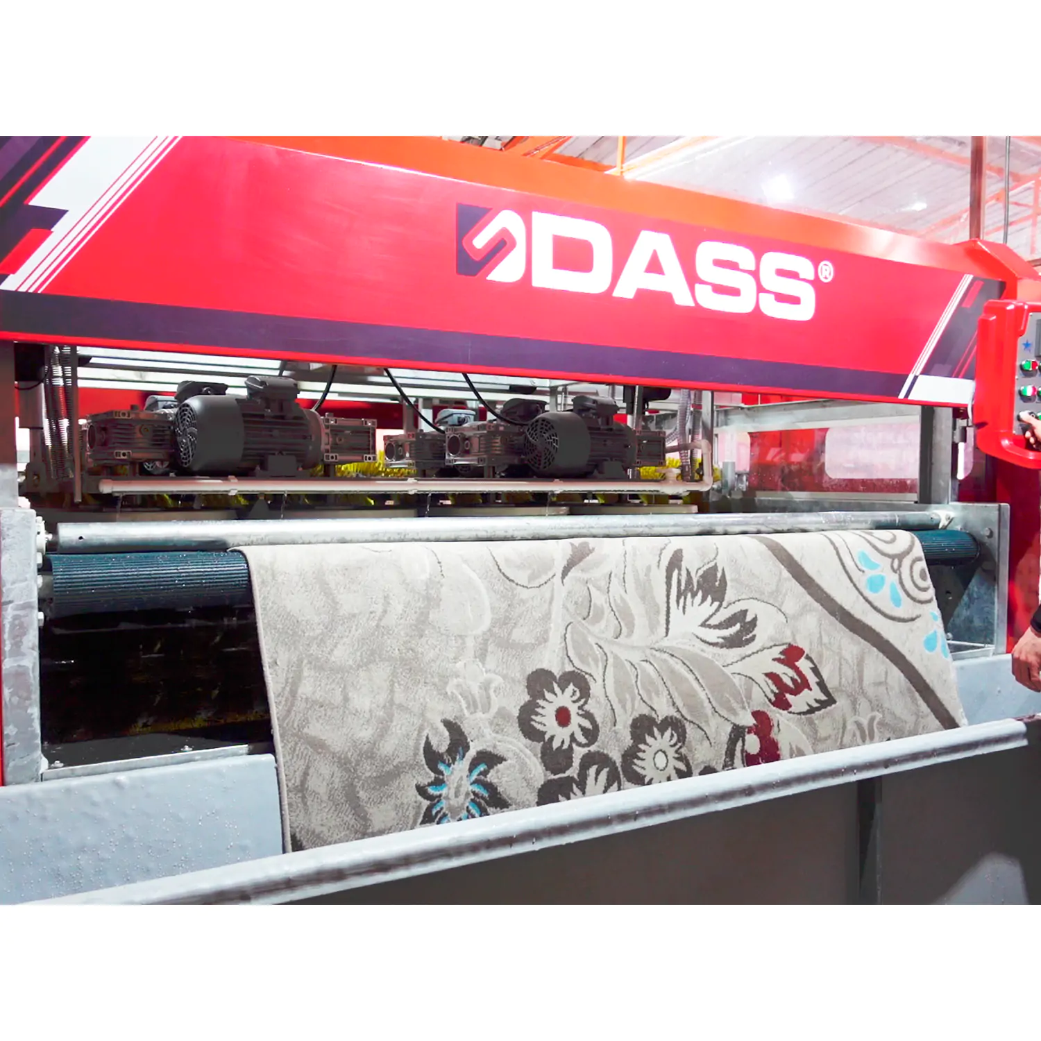 Otomatik Halı Yıkama Makinesi Dass Point Serisi 17